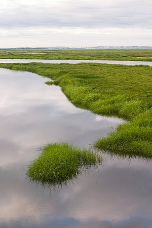 Plum Island Marsh and Water