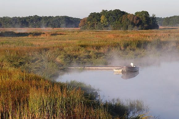 Parker River Morning Mist