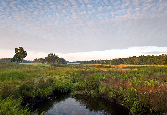 Marsh Sunrise Ipswich