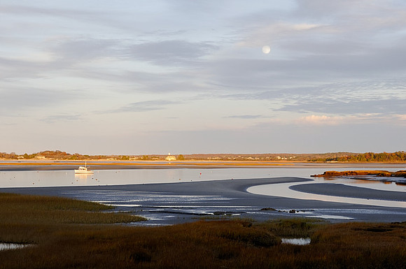Cunomo Point Moonrise Essex