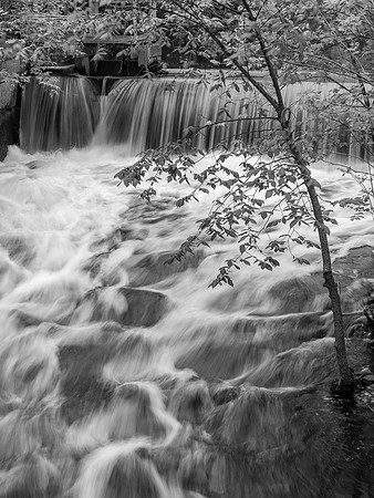 Powwow River Spring Flow