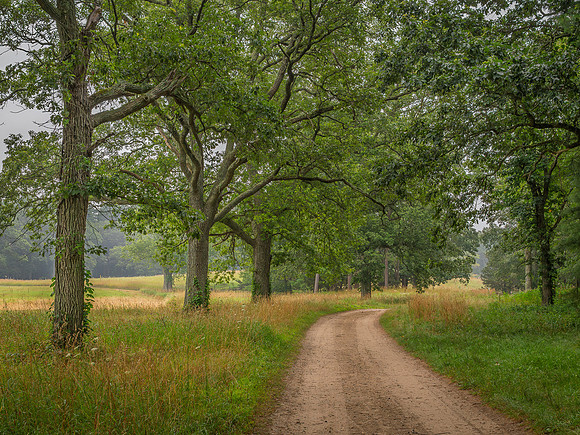 Hazy Morning Appleton Farms