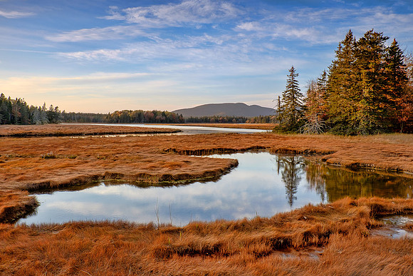 Tremont Marsh Fall