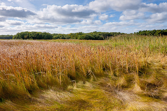 Byfield Marsh and Clouds