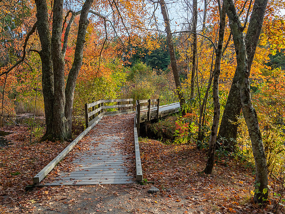 Bradley Palmer Trail