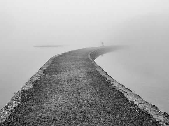 Wiggley Bridge Trail in Fog