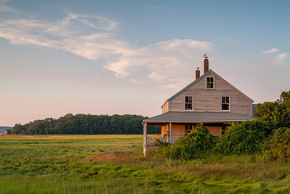 Essex House and Marsh