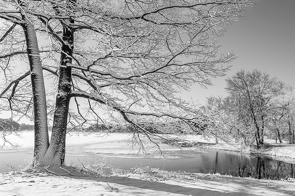 Wenham Lake Snow