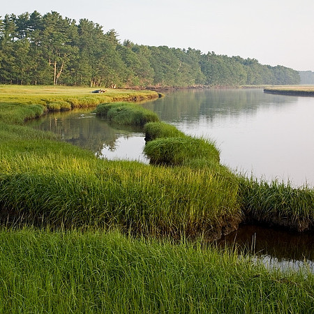 Kennebunk Marsh