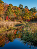 Fall Reflections Wenham