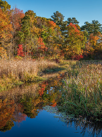 Fall Reflections Wenham