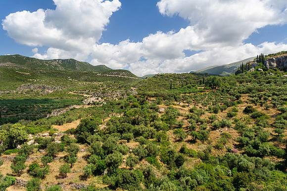 Hillside Olive Grove, Kardamyli