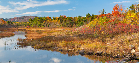 Duck Brook Pond Fall