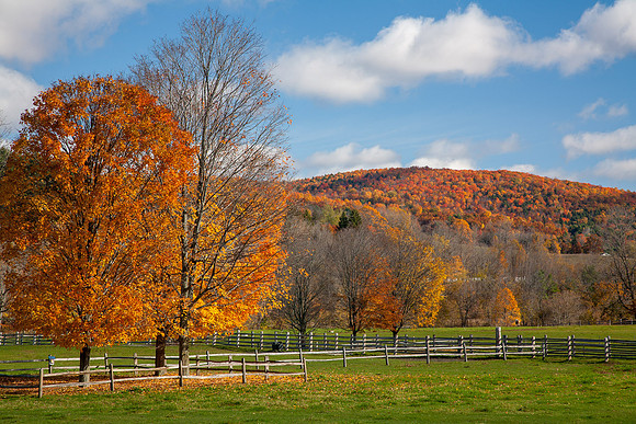 Billings Farm Woodstock