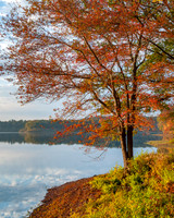 Wenham Lake Autumn Sunrise