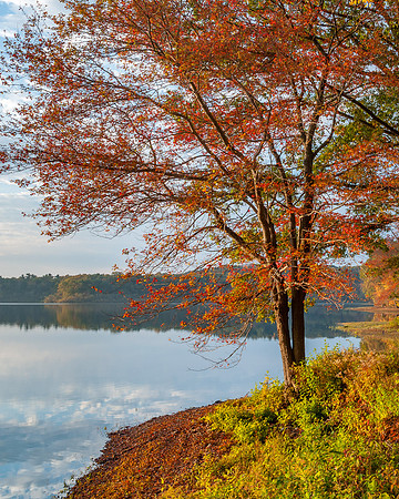 Wenham Lake Autumn Sunrise