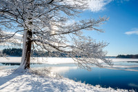 Fresh Snow Wenham Lake