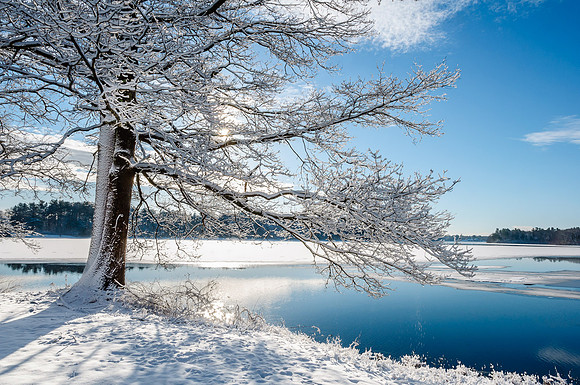 Fresh Snow Wenham Lake