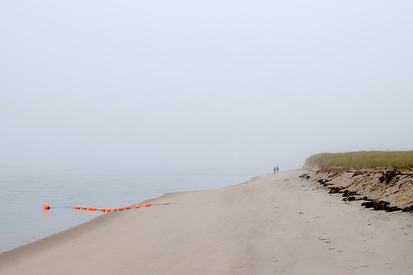 Lighthouse Beach Fog