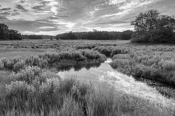 Marsh Cloud Reflections