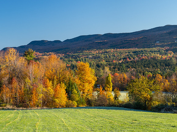 Warren Fall Scene