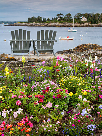 Ocean Point Flowers