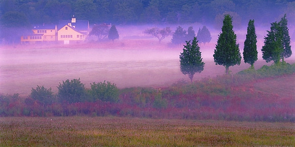 Essex Farm Morning Fog