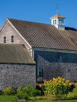 Barn and Sunflowers