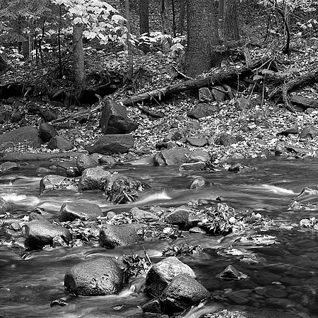 Vermont Fall Stream