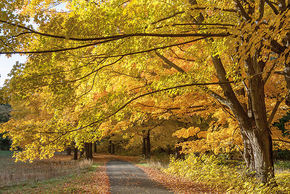 Fall Road Wenham