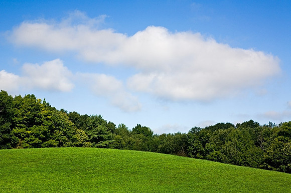Field and Clouds
