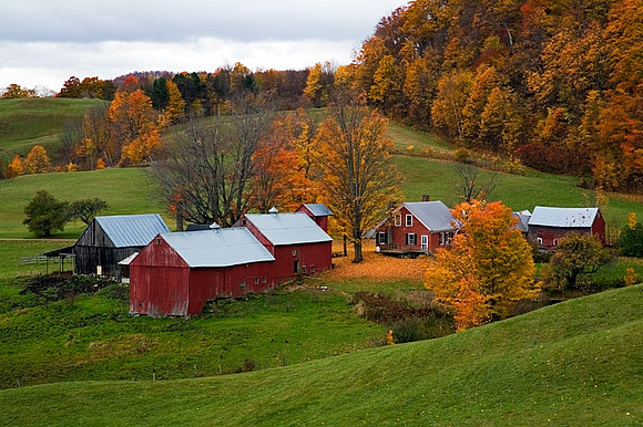 Jenne Farm Autumn Woodstock