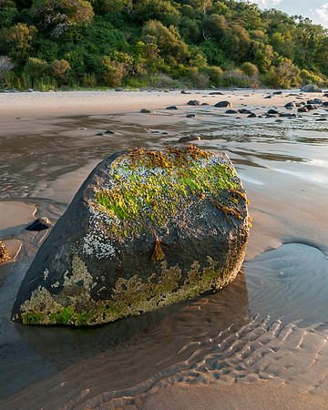 Rock and Stream Crane Beach
