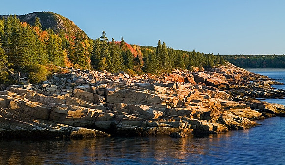Acadia Shore and Fall Foliage