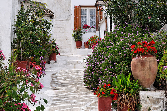 Anafiotika Garden Path, Athens