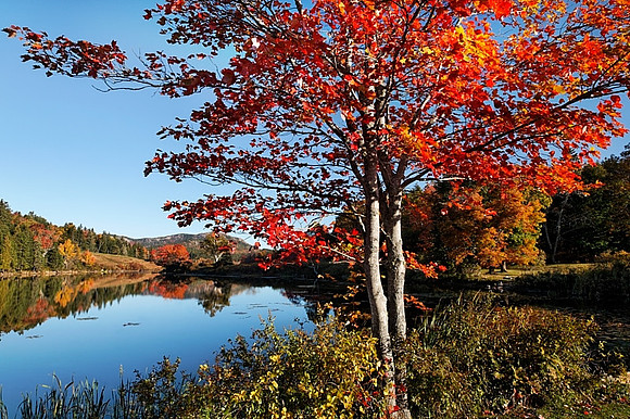 Fall Foliage Little Long Lake
